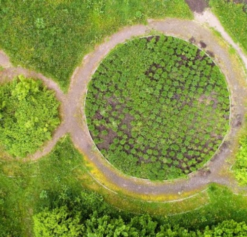 Groene cirkels in het gras, Creative Commons WUR